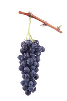Bunch of grapes on white background