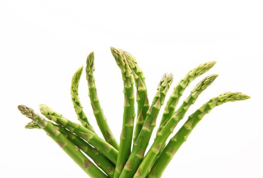 fresh asparagus on white background
