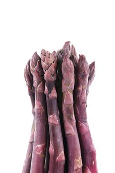 fresh red asparagus on white background