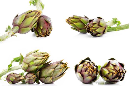 fresh artichokes on white background