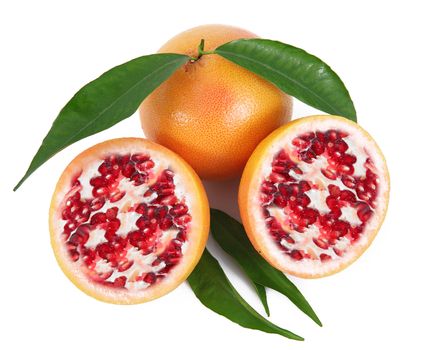 strange ibrid fruit pomegranate-grapefruit