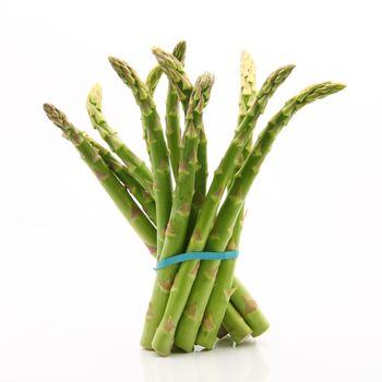 fresh asparagus on white background