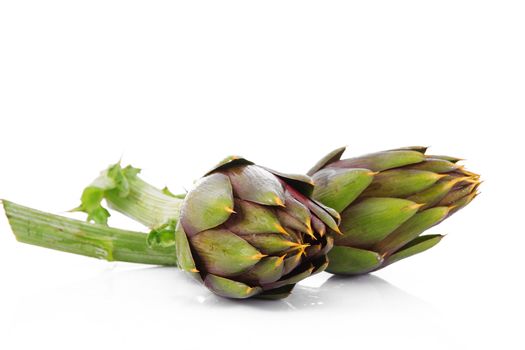 fresh artichokes on white background