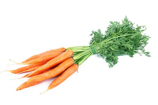 fresh carrots on white background
