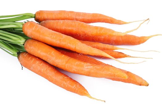 fresh carrots on white background