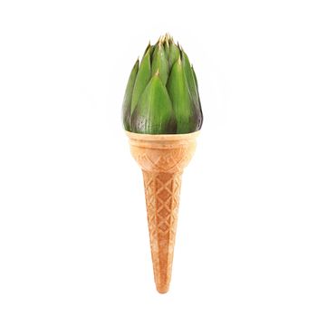 fresh artichoke like ice cream on white background