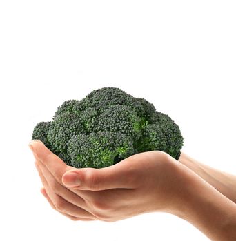 fresh cabbage in the hands on white background