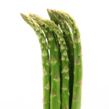 fresh asparagus on white background