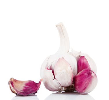 a garlic on white background