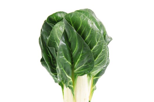 fresh vegetable ribs on white background