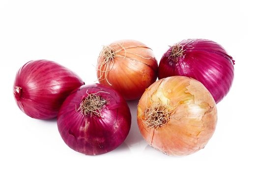 fresh onions on white background