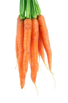 fresh carrots on white background