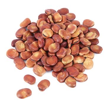 dry fava beans on white background