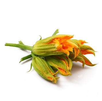 fresh pumpkin flowers on white background
