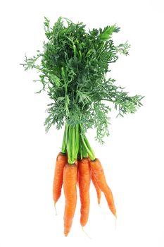 fresh carrots on white background