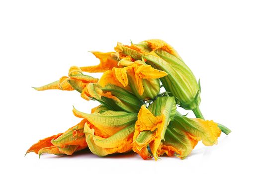 fresh pumpkin flowers on white background