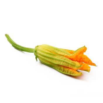 fresh pumpkin flowers on white background