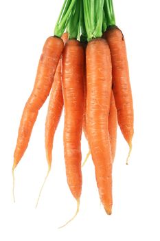 fresh carrots on white background