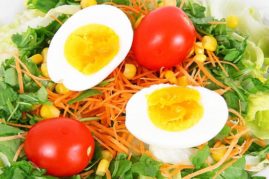 fresh salad dish on white background