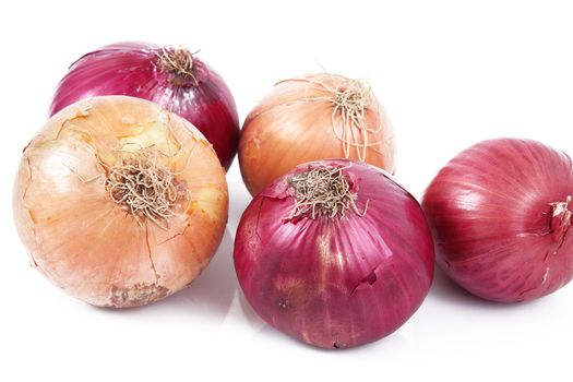 fresh onions on white background