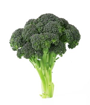 fresh cabbage on white background