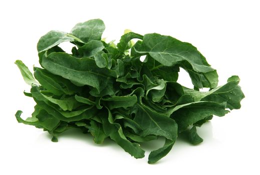 fresh salad on white background