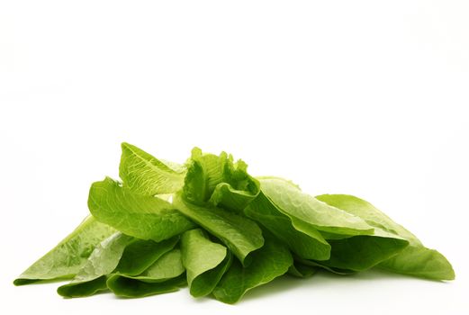 fresh salad on white background