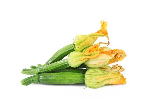fresh pumpkin flowers on white background