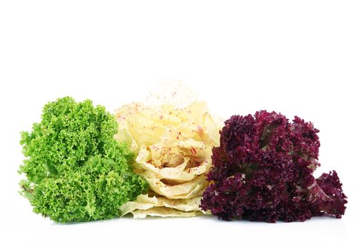 fresh salad on white background