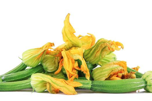 fresh pumpkin flowers on white background