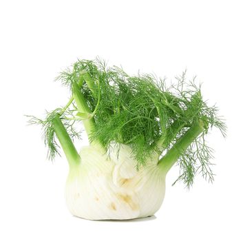 fresh isolated fennel on white background