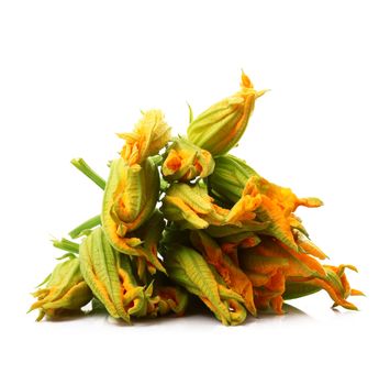 fresh pumpkin flowers on white background