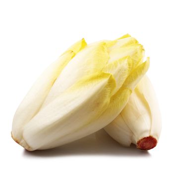 fresh endive salad on white background