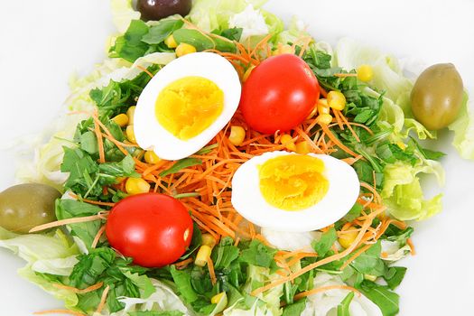 fresh salad dish on white background