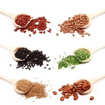 dry legumes collage in spoons on white background