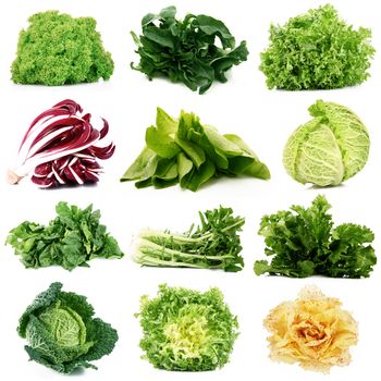 fresh salad collage on white background