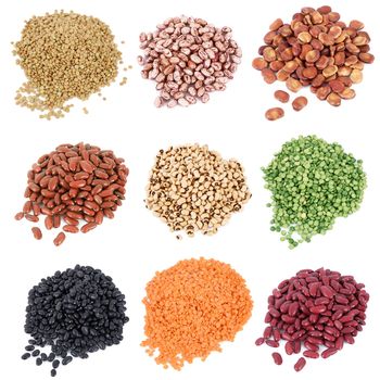 dry legumes collage on white background