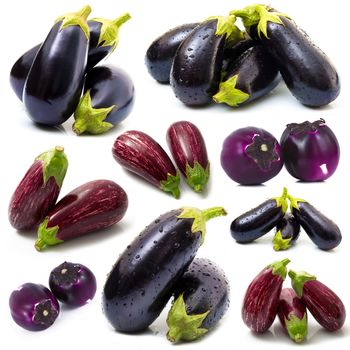 collage of eggplant on white background