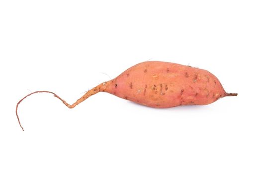 a fresh sweet potato on white background
