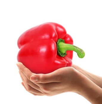 pepper in the hands on white background