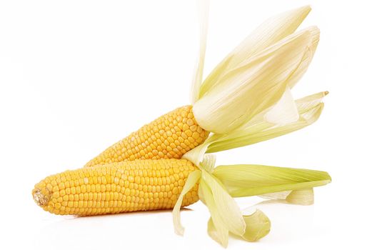 a fresh mais on white background