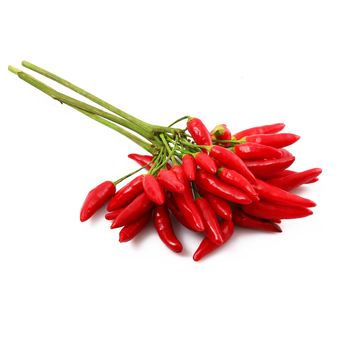 fresh hot peppers on white background
