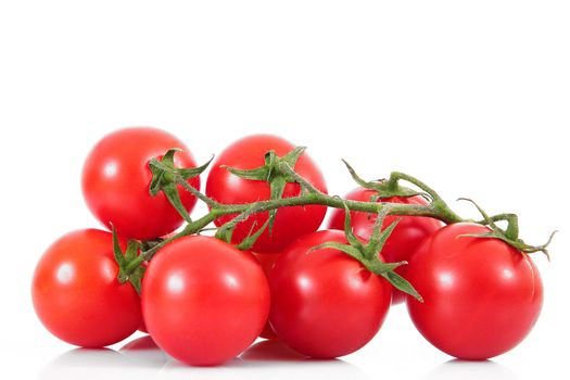 fresh tomatoes on white background