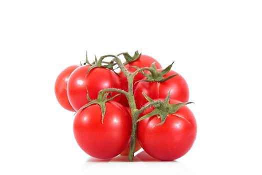 fresh tomatoes on white background