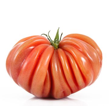 fresh tomato on white background