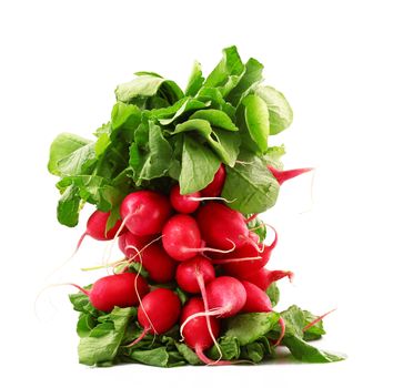 fresh radishes on white background