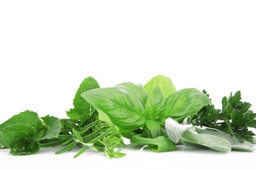 a fresh spices on white background