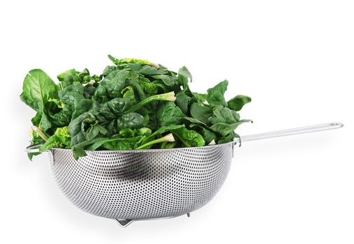 a fresh spinach on white background