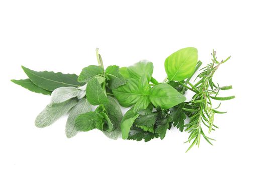 a fresh spices on white background