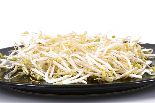 fresh soy dish on white background